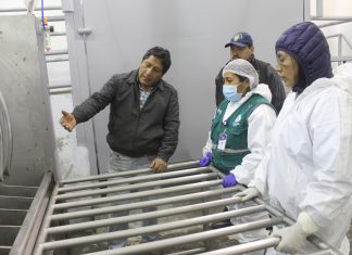 Senasa autoriza funcionamiento de matadero municipal del distrito de Huasahuasi