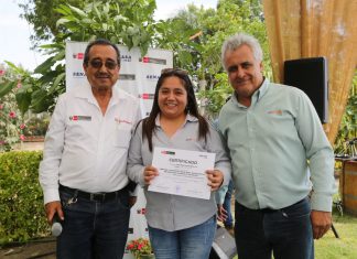 Ica: Senasa reconoce a ocho empacadoras de uva con bajo riesgo fitosanitario