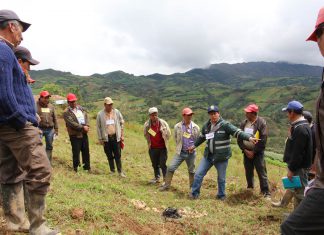 Cajamarca: Senasa forma expertos en manejo integrado de plagas en cultivo de papa