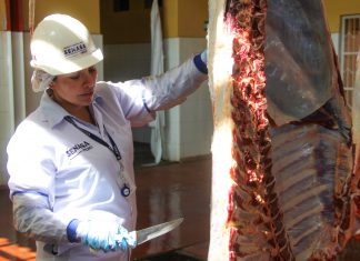 Mataderos : Un reto para las nuevas gestiones municipales