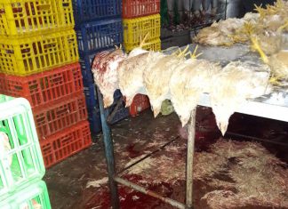 Huaral: Inspecciones sanitarias conjuntas para garantizar alimentos frescos y sanos