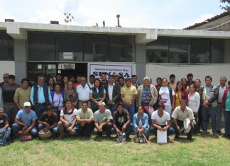 Productores de Apurímac se preparan para exportar palta Hass