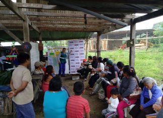 Productores de Ucayali se convierten en expertos en MIP Café