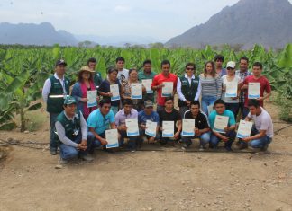 Reconocen a productores de banano orgánico de Olmos como expertos en MIP