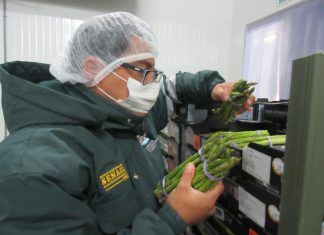 La Libertad: Senasa desarrolla taller de certificación fitosanitaria de espárrago