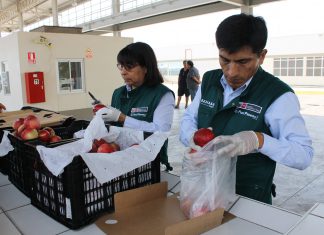 SENASA implementará puesto de control cuarentenario en resguardo de producción frutícola de Amazonas