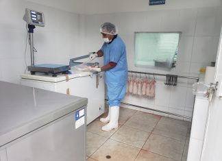 Ayacucho: Senasa autoriza primer establecimiento de procesamiento primario de cuyes