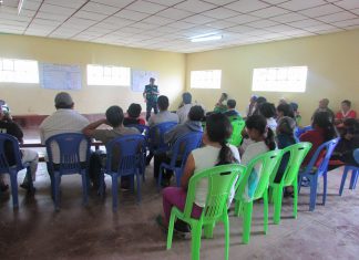 Cafetaleros de Amazonas empiezan a aplicar enseñanzas de Escuela de Campo