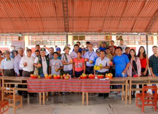 Huarmey inicia agroexportaciones de mango con apoyo del Senasa