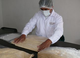 SENASA certifica nuevo cargamento de quinua ayacuchana para mercado europeo