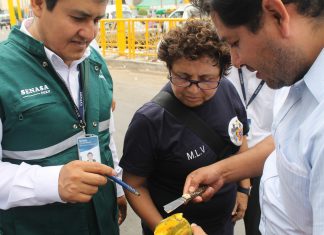Inspeccionan carga y expendio de productos en Mercado de Frutas