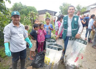Senasa y ciudadanos organizan intensa jornada de recojo de caracol gigante en Amazonas