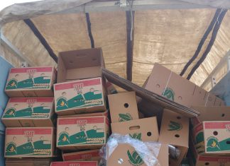 Senasa y Policia Nacional intervienen cargamento ilegal de banano procedente de Ecuador