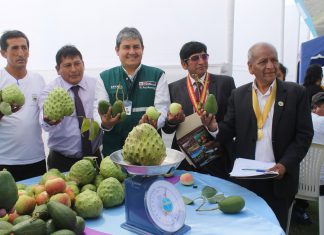 Senasa participa en feria agrícola con productores de chirimoya y guanábana en Antioquia
