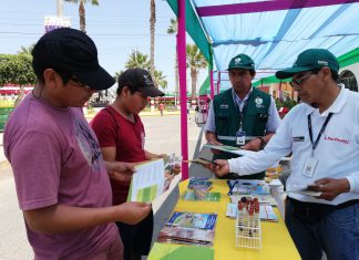 Ica: Senasa orientó a pequeños productores en Vendimia de Chincha