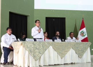 SENASA advierte problemática para la citricultura si HLB ingresa al Perú