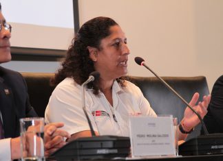 MINAGRI busca erradicar plaga Mosca de la Fruta