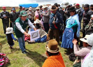 Puno: Senasa organizó día de campo para fortalecer capacidades técnicas de productores de haba y quinua