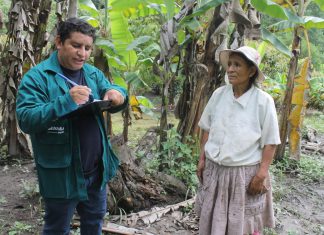 SENASA evalúa predios de cultivos en Chanchamayo para determinar nivel de daños por precipitaciones pluviales