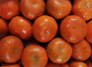 Gestión: SENASA trabaja en el ingreso de mandarinas peruanas a 15 nuevos mercados