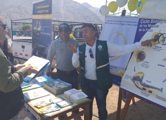 Paramonga: Senasa orienta a fruticultores para control de plagas en Huaricanga