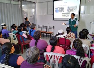 Senasa impulsa acciones para mejorar producción de leche fresca en Apurímac