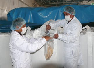 Ayacucho: Tercer envío de Quinua se abre paso en mercado europeo