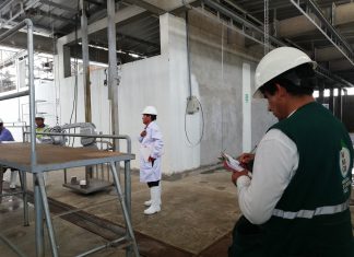 Chincha cuenta con primer matadero de bovinos y porcinos autorizado por Senasa