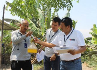 Especialistas practican estrategia de intervención para el control de moscas de la fruta