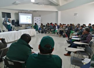 Huancavelica: Senasa socializa requisitos fitosanitarios para la exportación de palta