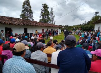 Piura: Senasa y autoridades fortalecen compromiso para erradicar la mosca de la fruta