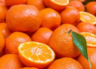Partió primer envío de mandarinas Satsuma peruanas rumbo a Japón