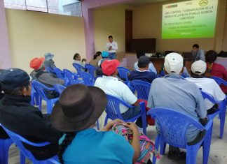 Conforman Comité Distrital de control de mosca de la fruta en San Miguel de Mayocc