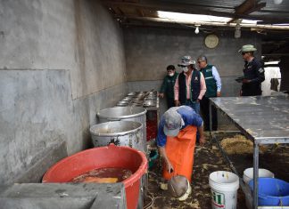 Ayacucho: Senasa y autoridades fiscalizadoras intervienen mataderos clandestinos en Carmen Alto