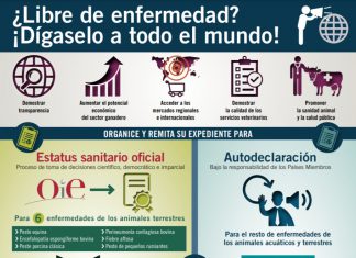 Perú, país libre de perineumonía contagiosa bovina