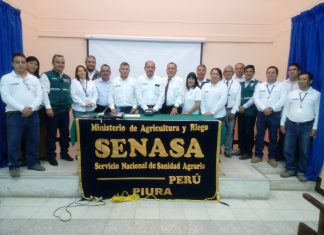 Senasa toma acuerdos para fortalecer acciones que eviten el ingreso de Diaphorina citri y HLB en Piura y Tumbes