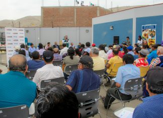 Senasa y productores de mango fortalecerán acciones sanitarias para mantener exportación a Europa