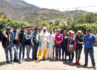 Agricultores de Abancay son instruidos en el uso responsable de plaguicidas
