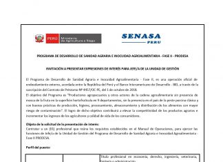 Invitación a presentar expresiones de interés para jefe de Unidad de Gestión del PRODESA