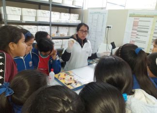 Huaral celebró por primera vez Día Mundial de la Inocuidad de los Alimentos