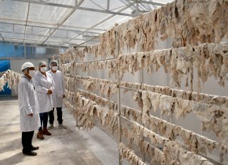 Ayacucho: Senasa otorga autorización sanitaria a primera planta procesadora de charqui