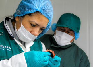 MINAGRI inicia quinquenio de fortalecimiento de la inocuidad agroalimentaria