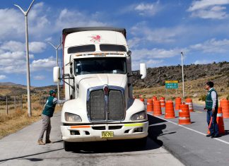 Senasa intensifica control contra moscas de la fruta en Suyturumi, Ayacucho