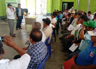 Piura: Productores de mango comprometidos en consolidar envíos al mercado europeo