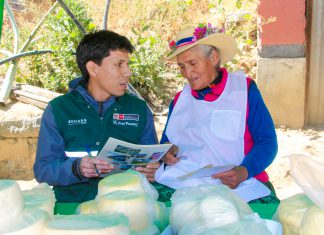 Senasa emprende acciones para lograr sanidad de rebaños lecheros en la región Áncash