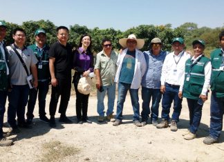 China saluda 15 años de exportación de mango peruano sin plagas