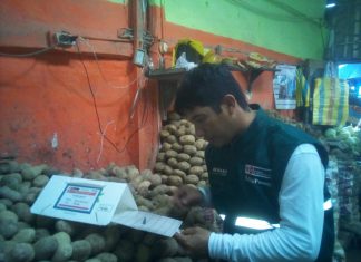 Tumbes: Senasa mantiene vigilancia sanitaria para evitar ingreso de Polilla guatemalteca al país