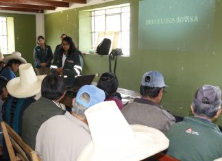 El Senasa cautela la sanidad de leche para su consumo en Cajamarca