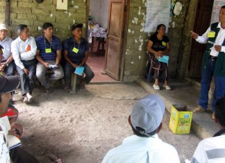 Amazonas: Senasa y pequeños productores intercambian experiencias para prevenir plagas en cacao