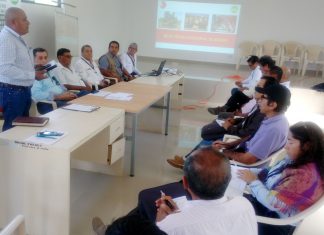 Piura: Mesa Técnica Regional del Mango se une a las acciones para erradicar mosca de la fruta